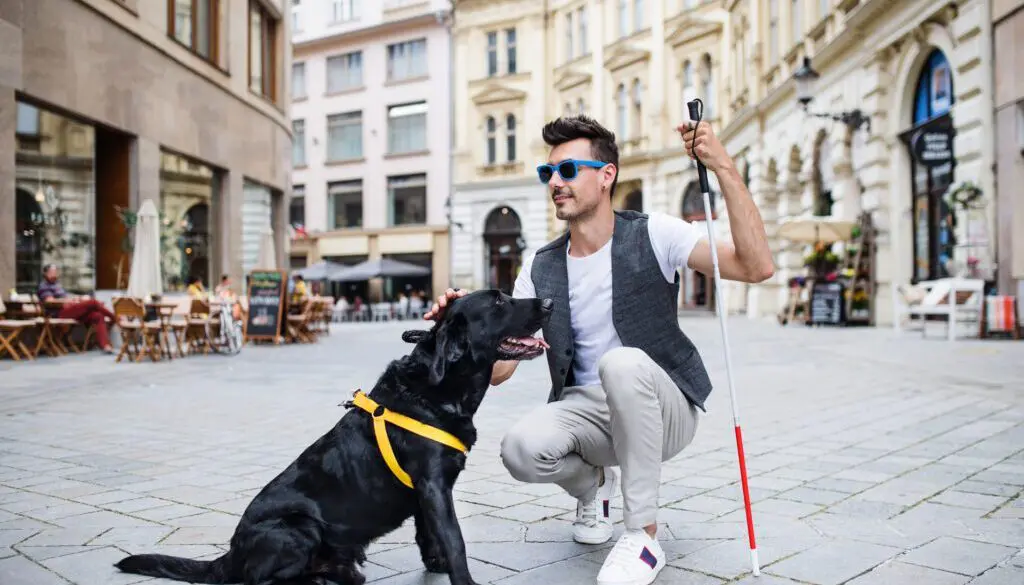 A blind White man is kneeling down to pet his black service animal in an outdoor plaza