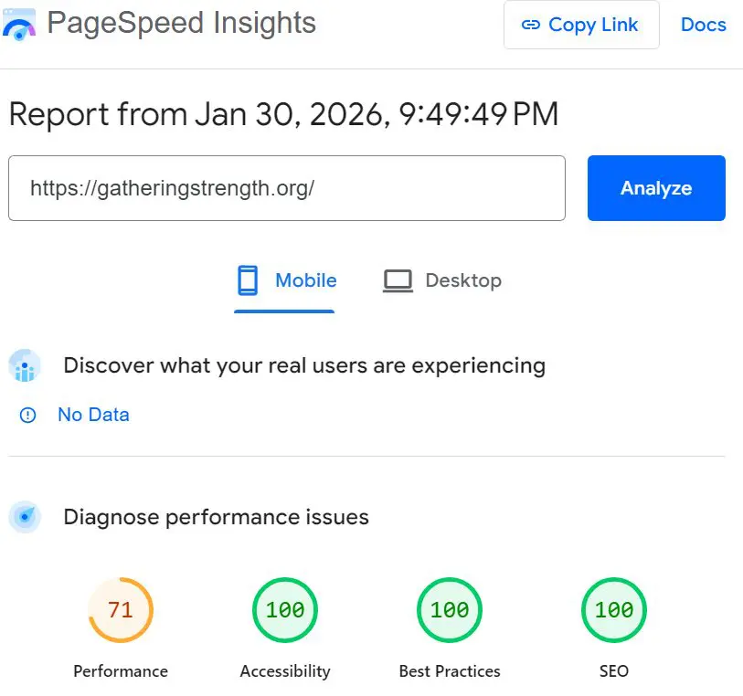 Accessibility score of 100