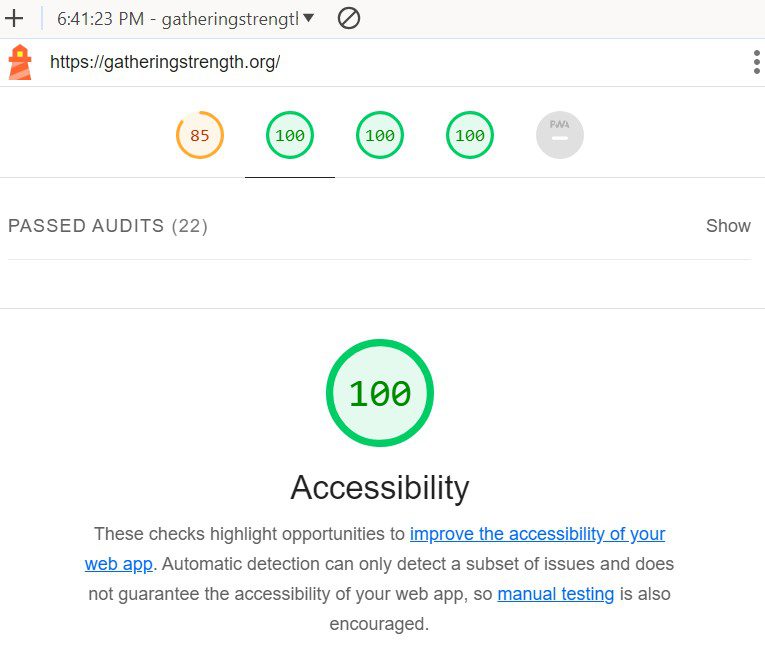 Accessibility score of 100%