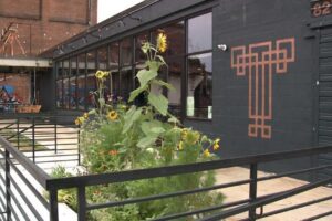 Trellis brewing patio